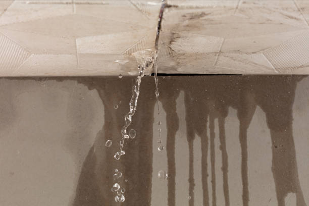Professional Water Extraction technician working in Mesquite, TX